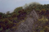 View #1