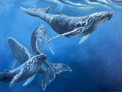 Celebration: Humpbacked Whales