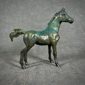 Tomorrow's Promise: Foal