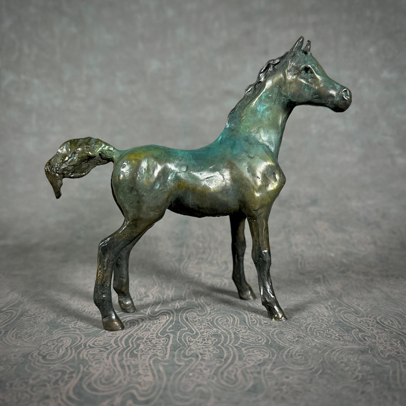 Tomorrow's Promise: Foal