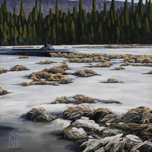 Beaver House at Morfee Wetland