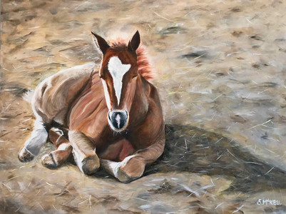 Barriere Foal