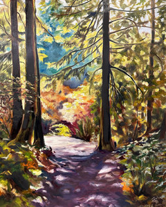 Where the Light Wanders