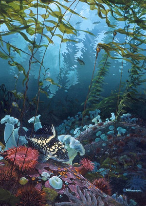 Mark Hobson