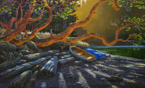 Arbutus Morning