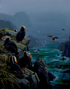 Tufted Puffins: Arrivals Lounge, Coronation Island, Alaska