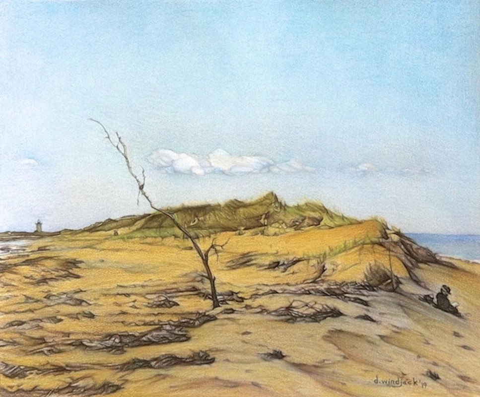 Cape Code Solitude