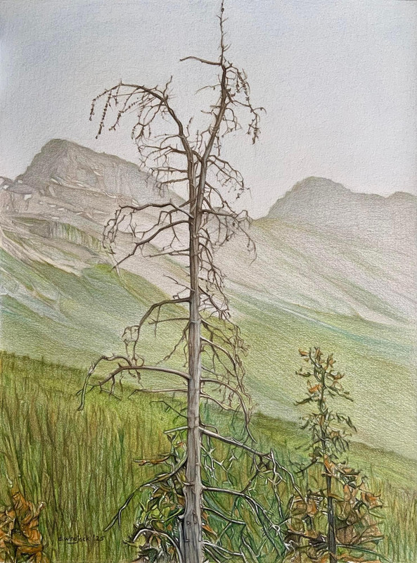 Still Standing
