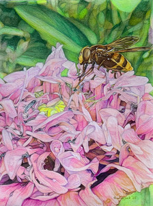 A Flower's Best Friend