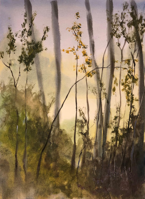 Chris Block