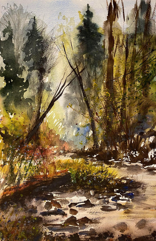 Byrne Creek Ravine