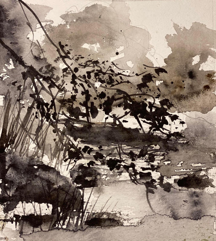 Along the Creek