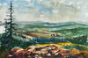 View #1