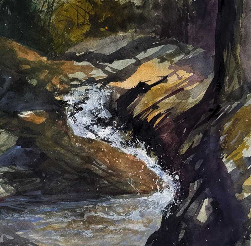 Shady Chute