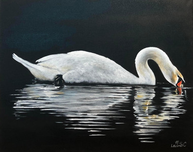 Swan Lake