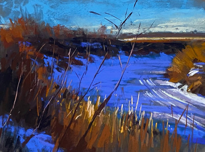 Winters Long Shadows