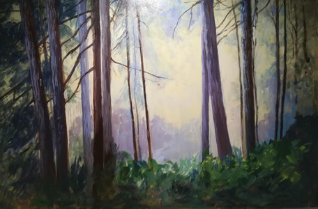 Light Beyond the Trees