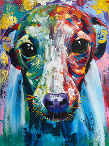 Italian Greyhound - portrait