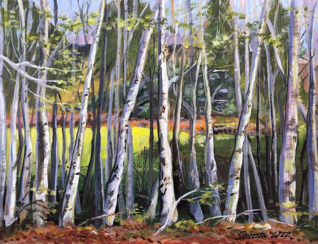 Birches over Fairwind's 13th