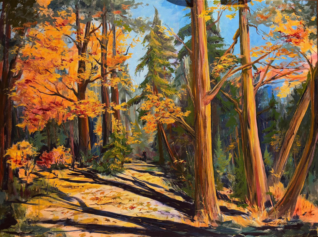 Sun in the Forest
