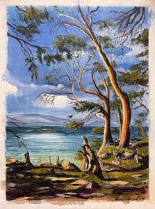 Sunset Herring Spawn in Nanoose