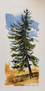 The Island’s Queen