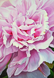 Pink Peony