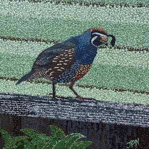 On The Fence