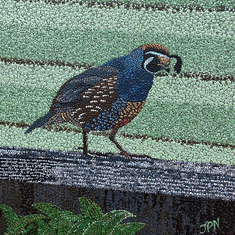 On The Fence