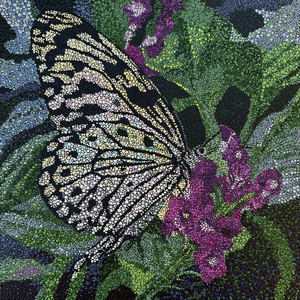 Metamorphosis