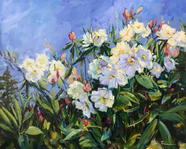 White Rhododendrons, Blue Sky