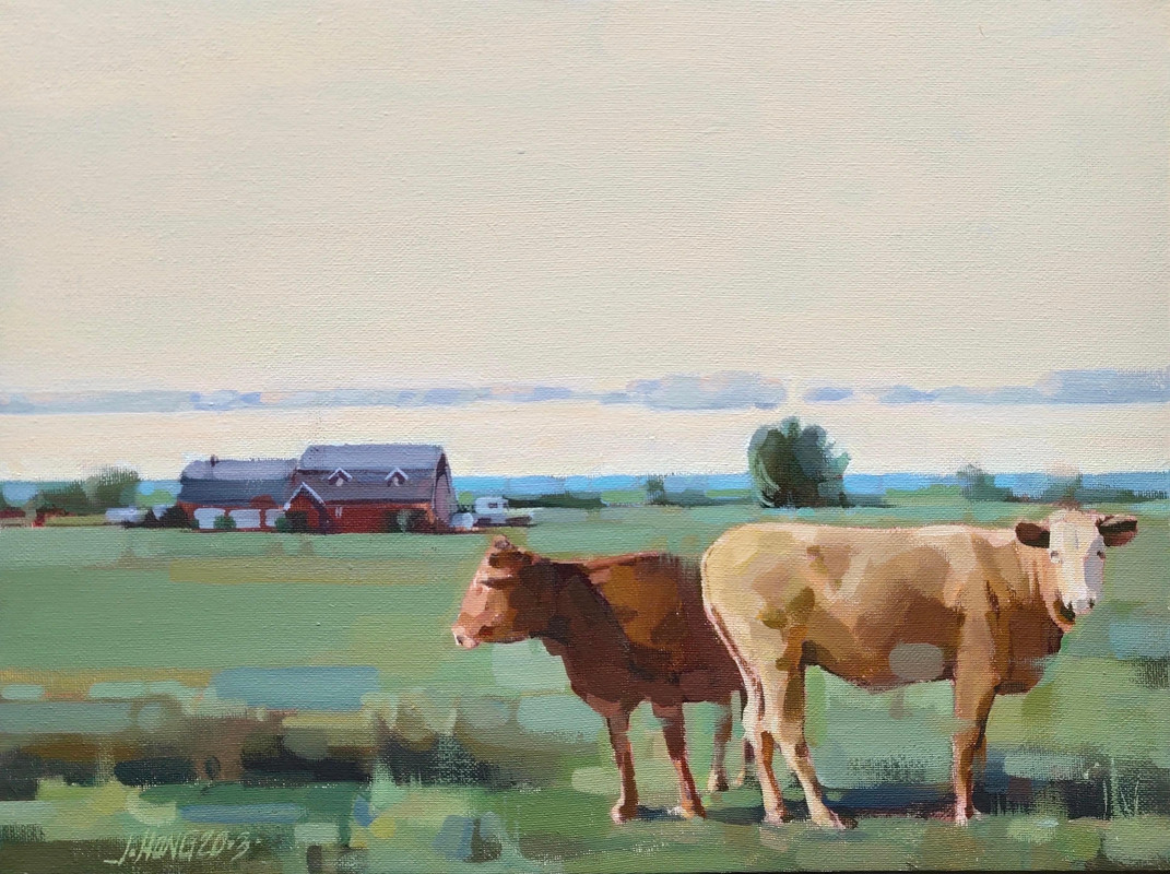 The spring of cattle