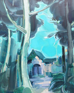 The ancient trees in West Vancouver