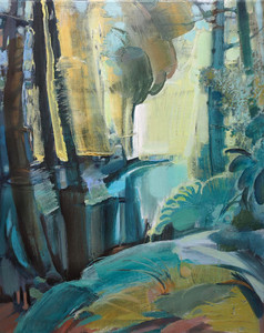 The light and shadow of the Capilano River