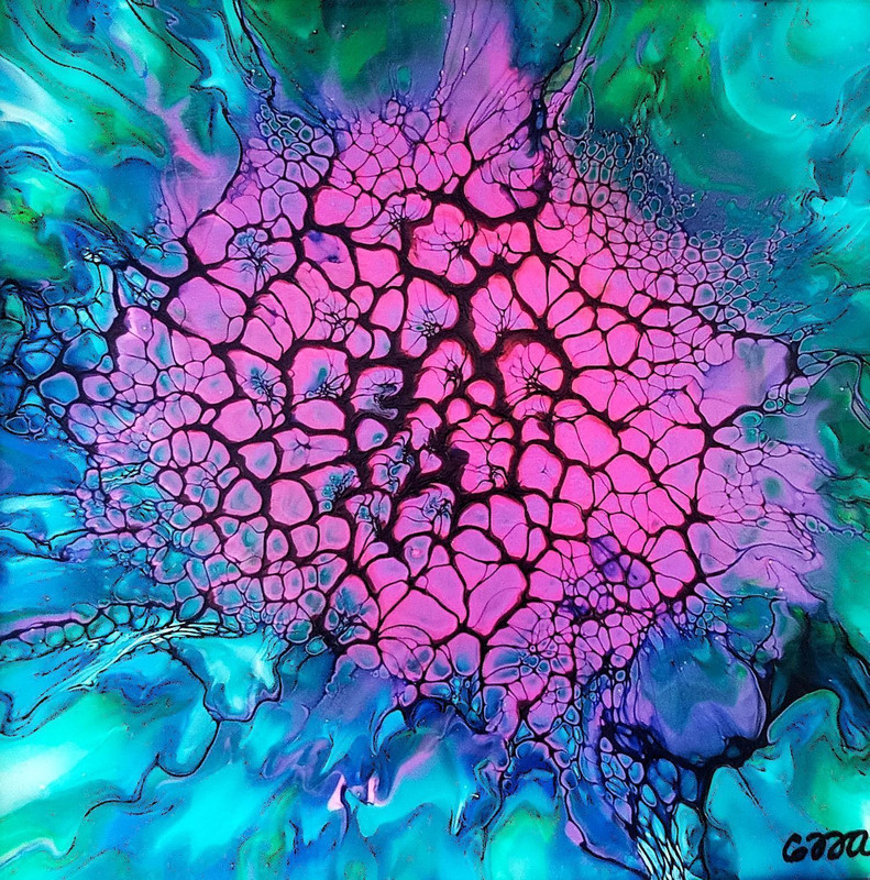 Hydrangea Bloom