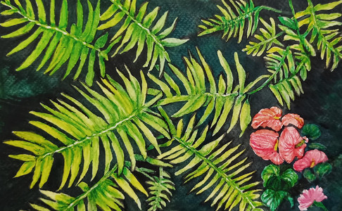 Ferns & Cala Lily
