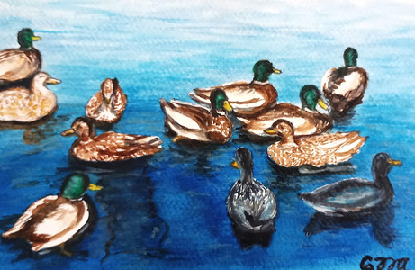 Sitting Ducks