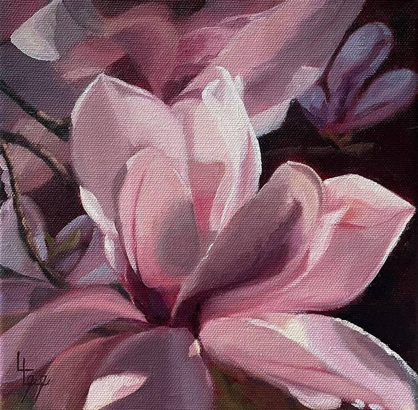 Magnolia Burst