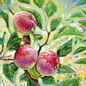 Summer Abundance