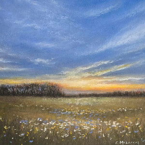 Evening on The Prairie