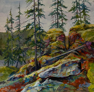 Along a Rugged Trail