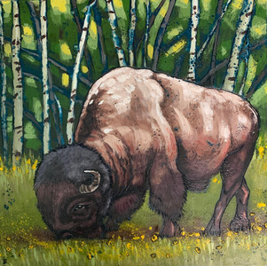 Bison