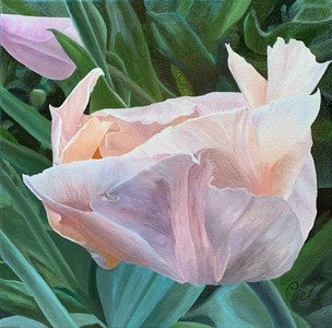 Unfolding Ruffles