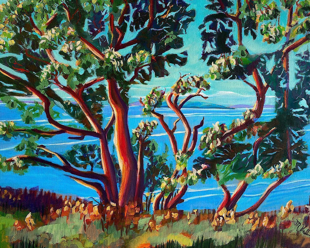 By the shadows of the Arbutus