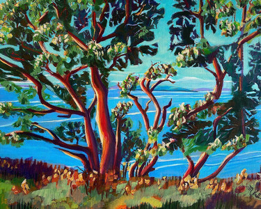 By the shadows of the Arbutus