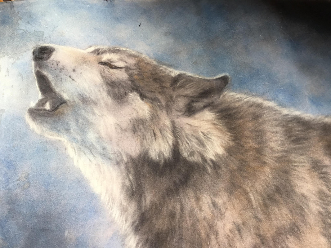 The Howl