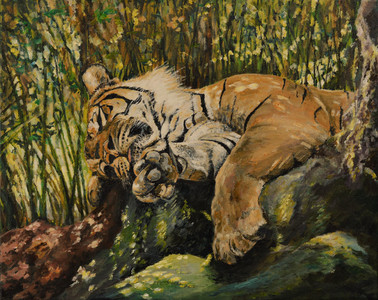 Tiger Siesta