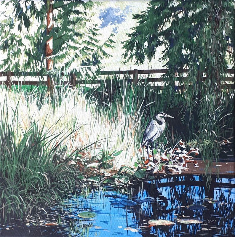 We Saw a Heron by the Pond