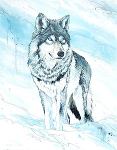 Winter Wolf