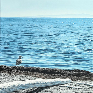 Shore